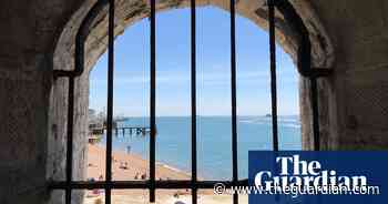 Lunch mates and Brazilian beauty – readers’ best photos