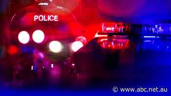 Alexander forgot his concession card on a train, a mistake which ended in his arrest and hospitalisation