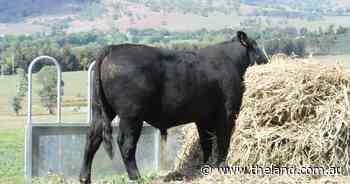 As window closes, will the forecast wet weather play its part? | Stock Talk