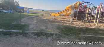 Reckless driver causes mayhem on section of Aspen Beach