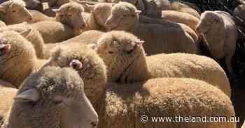 Pollies just communicate the detail, it's that simple