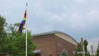 Hamilton police investigate theft of Pride flags from 4 Catholic schools, 2 residences