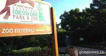 Small mammal house reopens at Saskatoon Zoo with meerkats, porcupines, monkeys