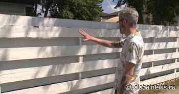 Calgary home hit with Nazi-themed graffiti after election signs pulled down