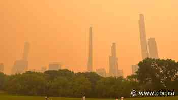 Hamilton resident visiting NYC describes 'frightening' sight of city smothered in wildfire smoke