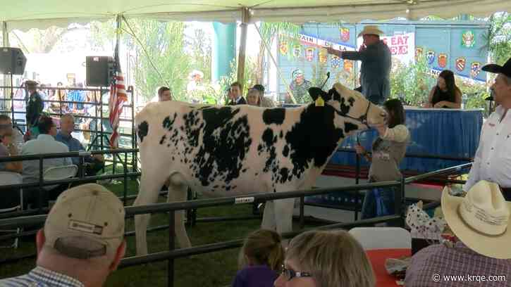 Rule books released for 2023 New Mexico State Fair