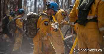 Why is the federal government looking to create a national emergency agency?