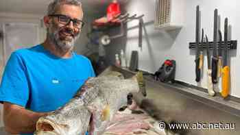 Fish and chip prices to rise with ban on major form of fishing, a fisheries scientist says