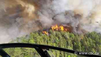 Ontario will invest enough to fight forest fires, says natural resources and forestry minister