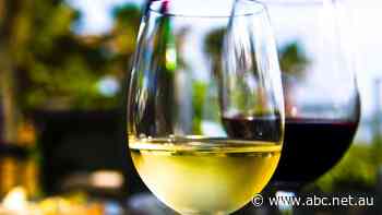 Australian wines are going through a 'golden period' — now there's awards to prove it