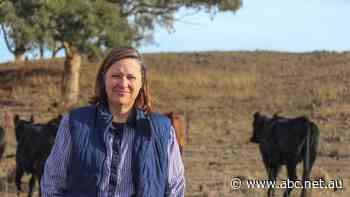 Driest May on record hurts farmers desperate for relief