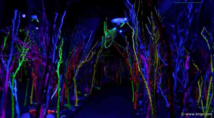 Meow Wolf exhibitions are now certified autism centers