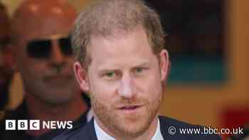 Harry's claims - and how they were challenged