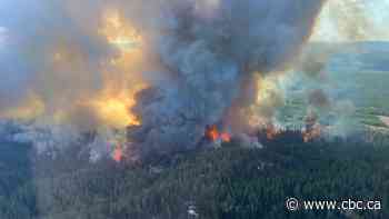 Out of control, held, out — What the stages of wildfire mean