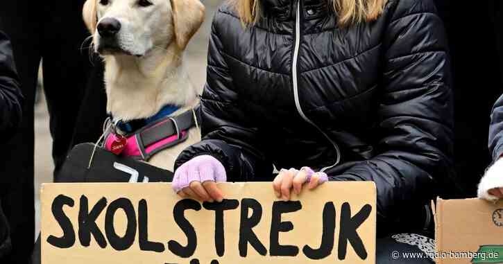 Greta Thunberg: Ende von «Schulstreik fürs Klima»