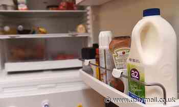 Where do YOU keep your milk? Scientists reveal the correct place to store it in the fridge