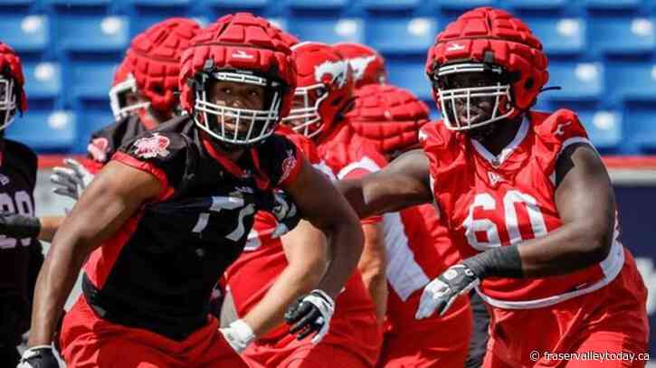 CFL players adjust to their bigger heads, helmet covers worn in practice
