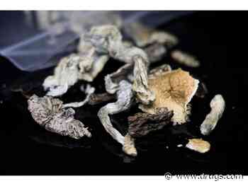 Young Adults' Use of Hallucinogens Like Mushrooms, PCP Doubled in a Few Years: Study