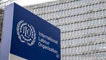 Gender-Frage entzweit UN-Organisation ILO