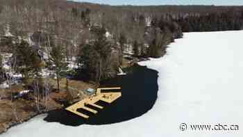'Mega dock' propels cottagers to seek new rules for aquatic airstrips