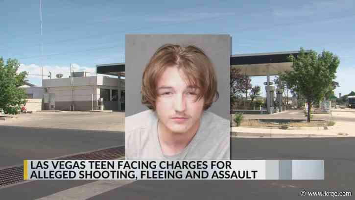 Las Vegas teenager behind bars after leading police on two chases