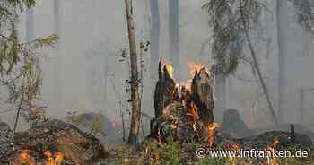 Franken: Das Wetter wird wohl besser - Behörden warnen nun vor Waldbränden