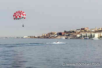 Man mauled to death by tiger shark off Egypt’s Red Sea coast