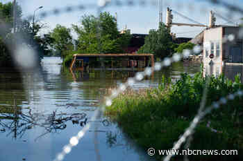 Mines, disease and more: The dangers in Ukraine's floodwaters