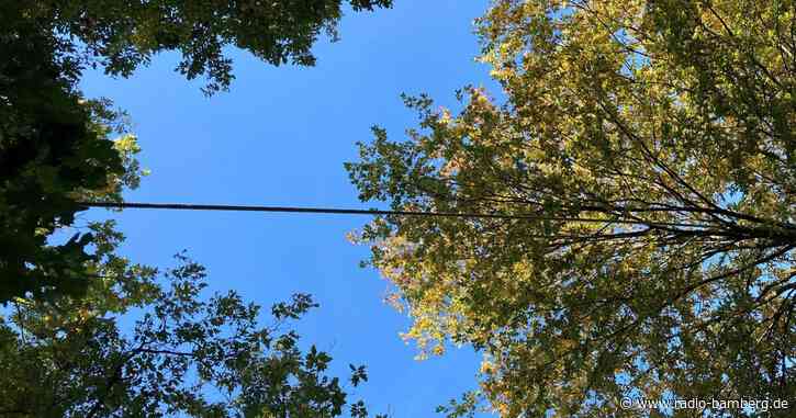 Eichhörnchenbrücke in Memmelsbrücke