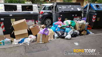 Rifiuti, l'allarme dei medici di famiglia: "Umido in strada attira le zanzare, vettori di malattie"