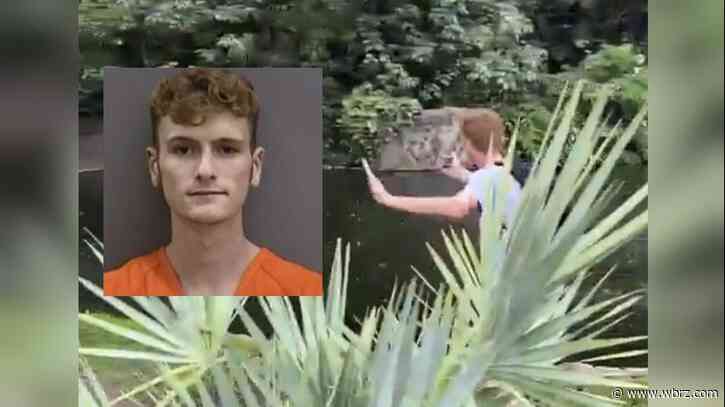 Prairieville man arrested for entering alligator enclosure at Tampa resort