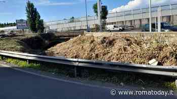 Giardinetti, bonificato il fosso di Massa Calciana per prevenire gli incendi estivi
