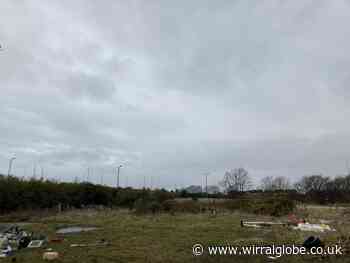 Affordable homes near Wallasey Lidl approved