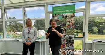 Parents against healthy school meals 'spit' at headteacher and 'threaten' her family