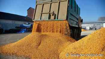 Polnischer Protest gegen Preisverfall: Bauern blockieren Grenzübergang zur Ukraine