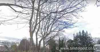 Neighbours worried over house built 'too close' are advised to 'use blinds'