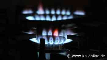 Energiekrise: EU unterzeichnet erste Verträge zu gemeinsamen Gaseinkäufen