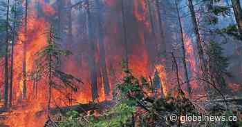 Prince Albert Grand Council calls for change in wildfire management