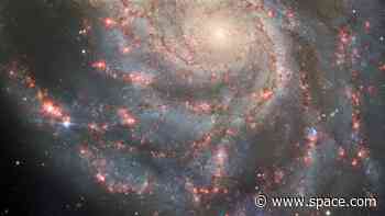 See new supernova shine bright in stunning Pinwheel Galaxy photo