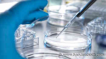 Chart des Tages: Croda sackt nach enttäuschendem Ausblick ab