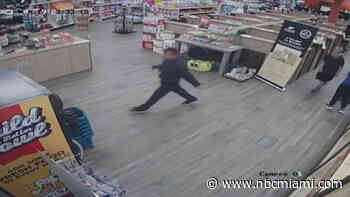 Man caught on camera stealing Frenchie puppy from Petland arrested in Miami: police