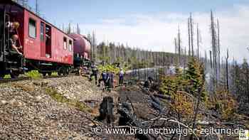 Verhageln wir den Waldbränden die Saison!