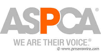 ASPCA Commends Federal Lawmakers for Introducing Legislation to Remove Barriers to Housing for Pet Owners