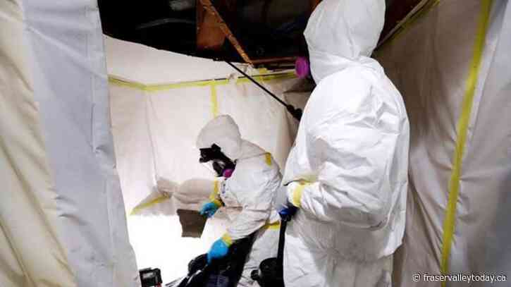 B.C. to require licence for asbestos abatement contractors by 2024