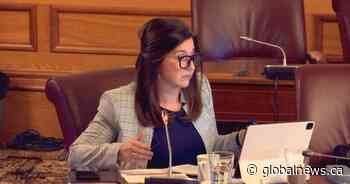 Dissent in N.B. government ranks continues, MLA criticizes overhaul of education governance