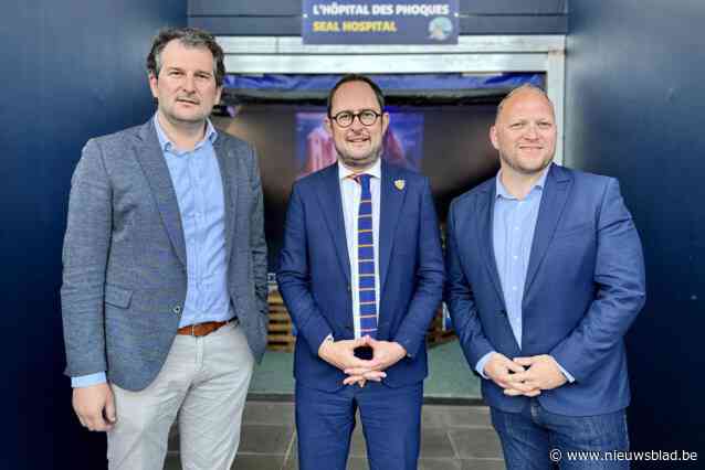 Primeur voor ons land: na zieke zeehondjes vangt Sea Life ook aangespoelde bruinvissen op: “We hebben de faciliteiten én de knowhow”