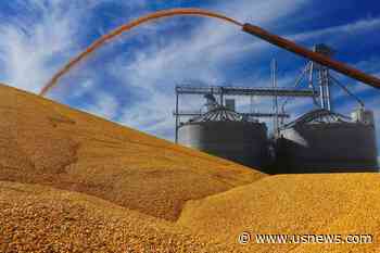 Canada Joins US in Trade Dispute Hearings Against Mexico's Proposed Ban on GM Corn