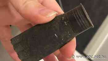 'I'm flabbergasted': Why did police discard a shotgun shell in the search for a missing woman?