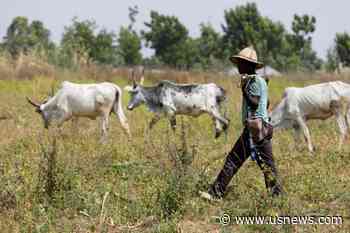 US Urges Nigerian Authorities to Investigate Air Strike Killing of Herders