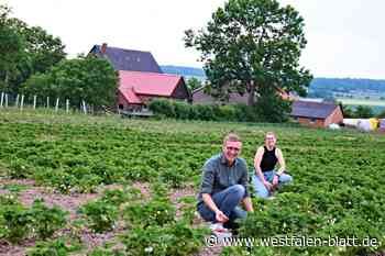 Natzungen: Hier gibt es Erdbeeren zum Selbstpflücken